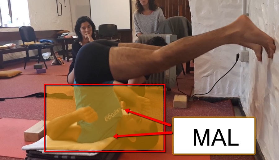 Cómo Practicar y Enseñar SARVANGASANA