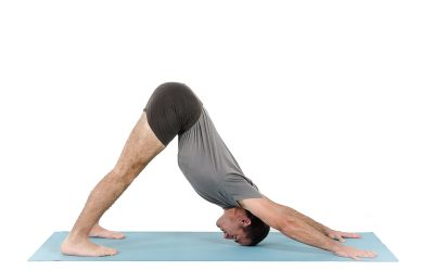 ADHOMUKHA SVANASANA